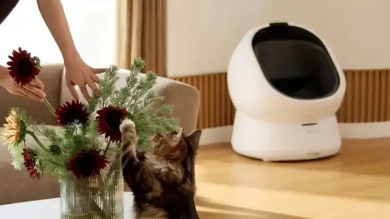 صندوق فضلات ذكي يرصد أمراض القطط مبكرًا