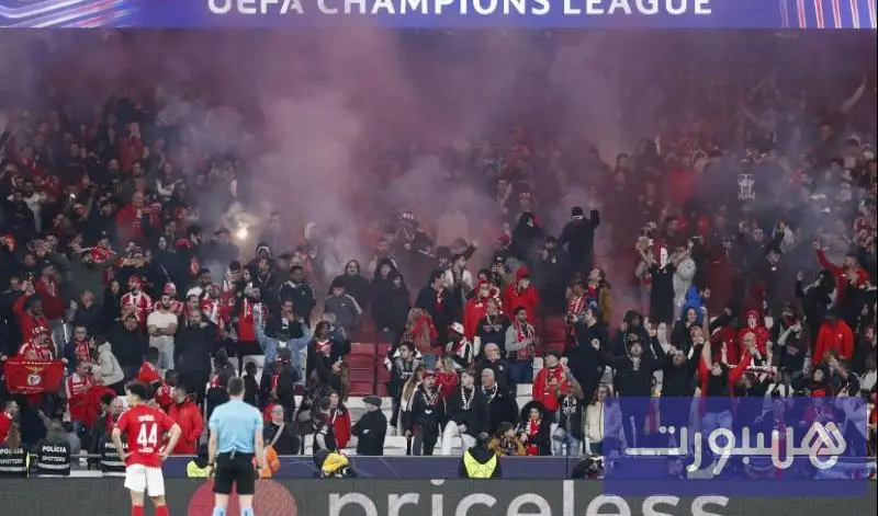 بنفيكا يوقف خمسة مشجعين بسبب العنصرية - هسبورت