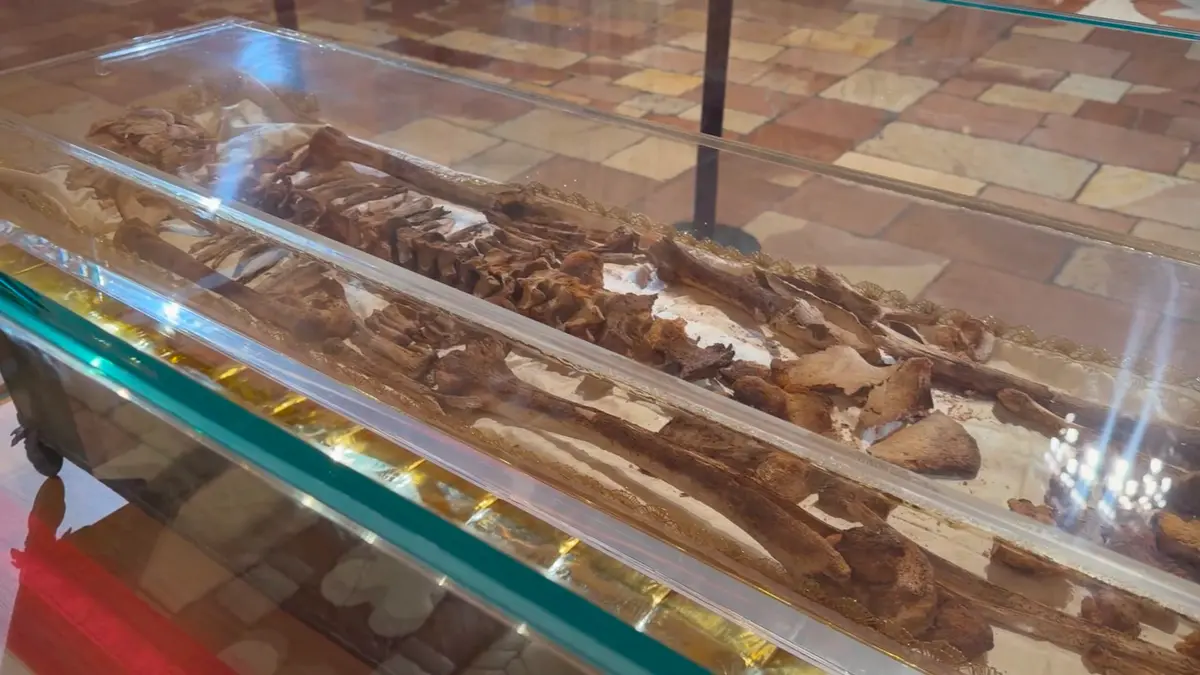 إيطاليا تعرض رفات القديس فرنسيس الأسيزي أمام الجمهور