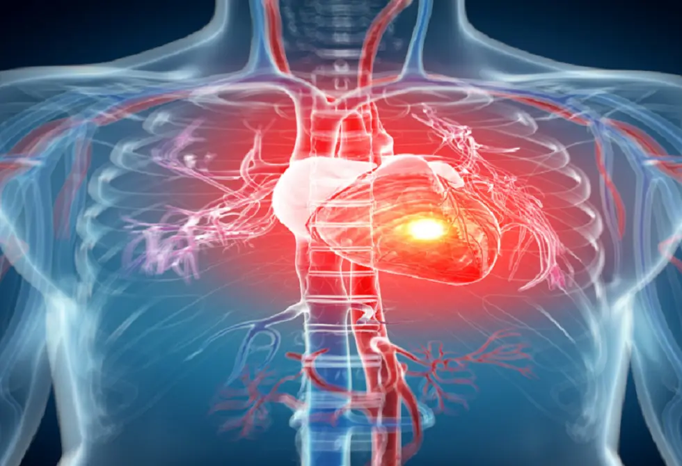 دراسة ضخمة تكشف سر صحة القلب