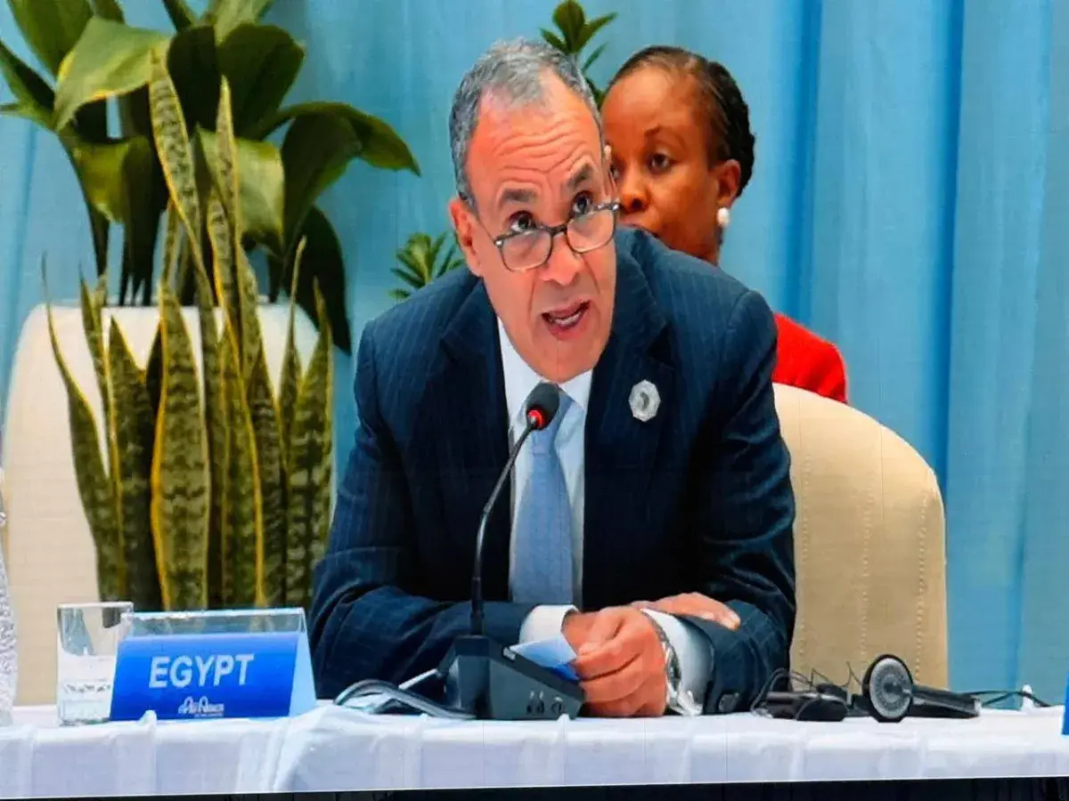 مصر تطالب بتوحيد «الصوت العربي» إزاء الترتيبات المستقبلية للمنطقة