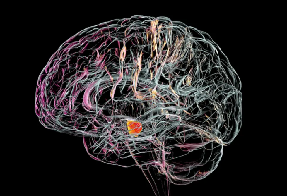 علاقة مقلقة بين نوع مياه الشرب وزيادة خطر مرض عصبي مزمن