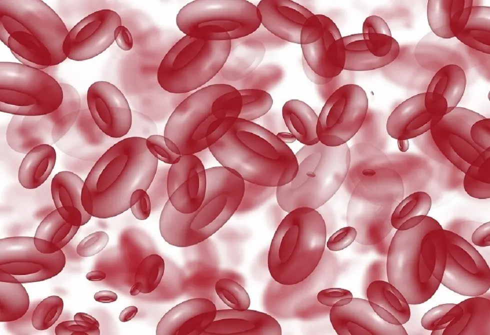 باحثون يرصدون أثر تغيّر المناخ في دم البشر