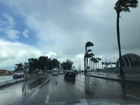 توقعات حالة الطقس غدا في مصر.. شديد البرودة صباحا وشبورة مائية ورياح