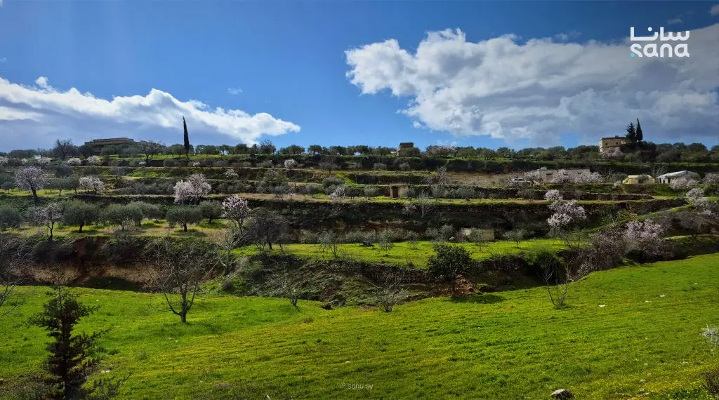 الأجواء مستقرة نهاراً والحرارة أدنى من معدلاتها