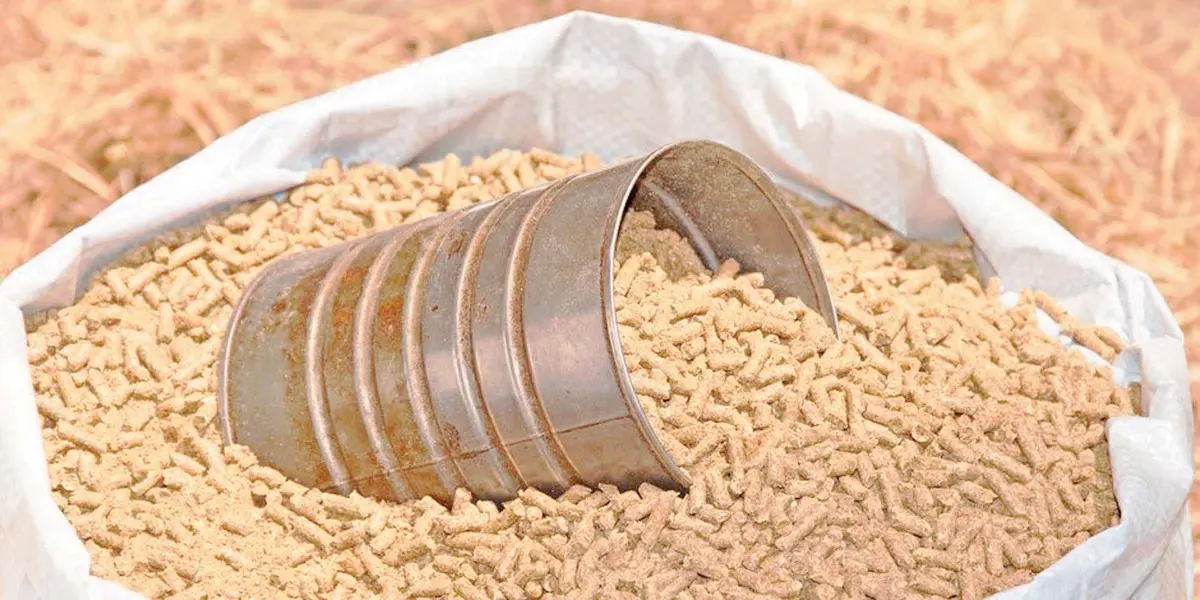 ارتفاعات جديدة في مستلزمات الأعلاف.. والمنتجون: ضغوط متزايدة على تكلفة الدواجن