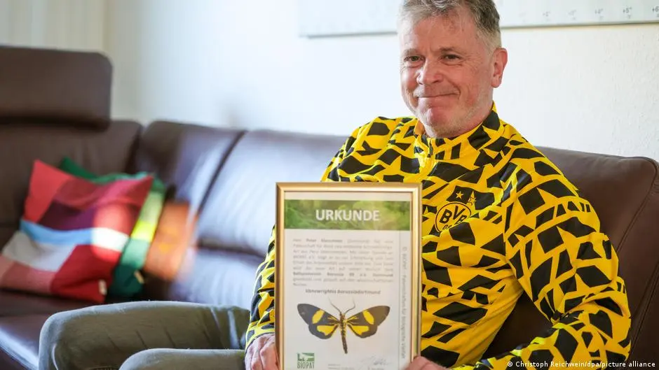 فراشة أمازونية نادرة تحمل اسم بوروسيا دورتموند!