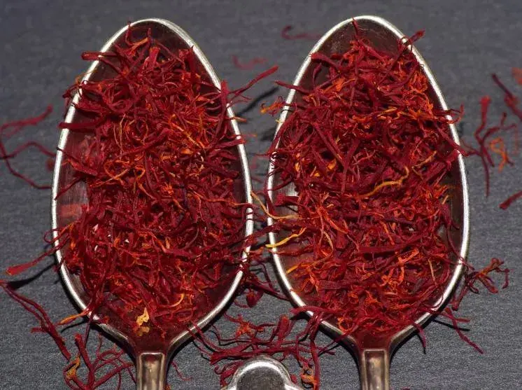 7 فوائد صحية قد لا تعرفها عن الزعفران... ما هي؟