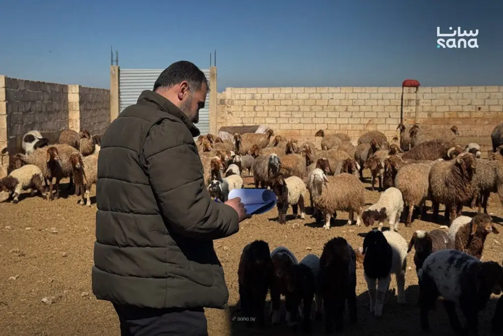 المحافظات السورية تبدأ إحصاء الثروة الحيوانية رقمياً عبر المنصة الوطنية