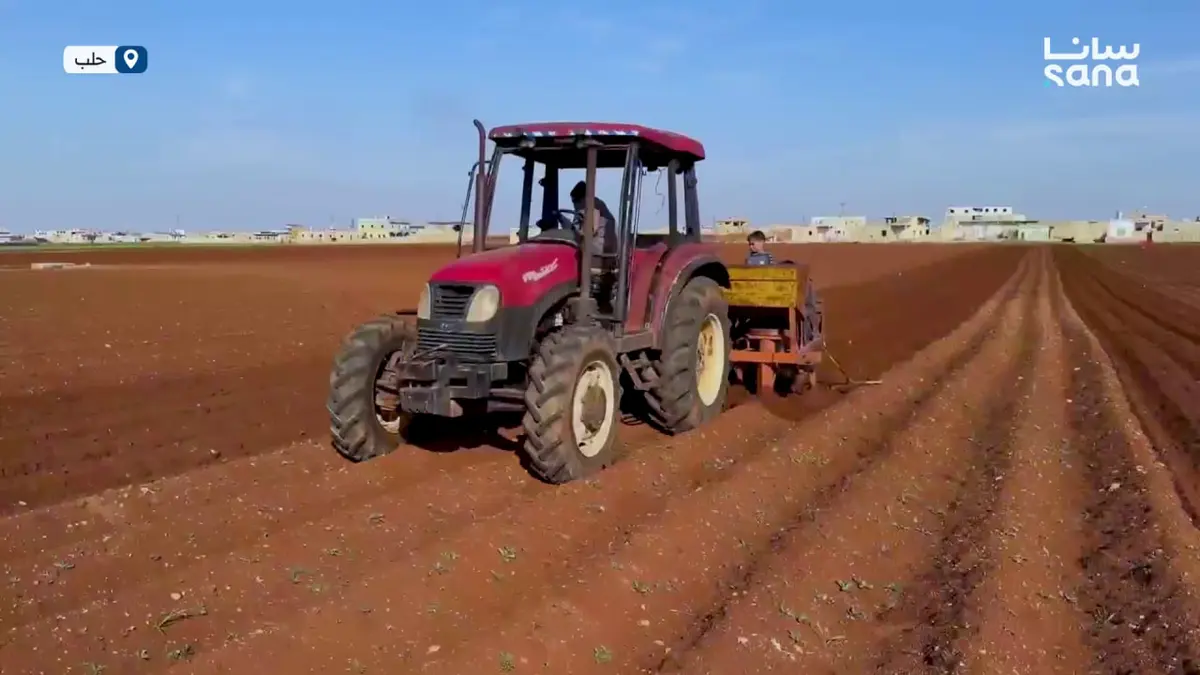 معاناة مزارعي حلب من ارتفاع أسعار بذار البطاطا ومؤسسة إكثار البذار تعمل لحل المشكلة