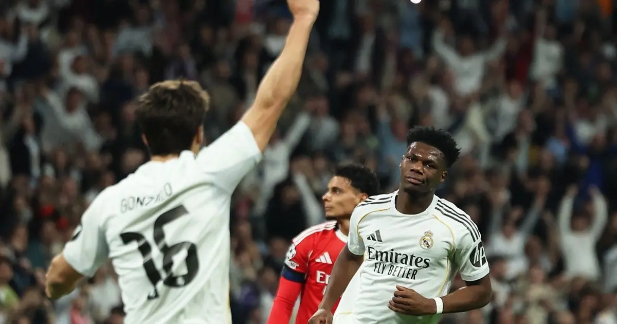 غرامة وإغلاق المدرجات.. "يويفا" يعاقب ريال مدريد بسبب "التحية النازية"