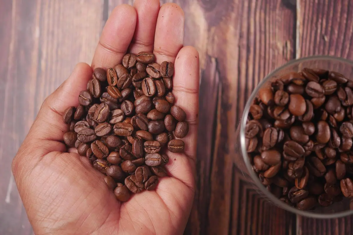 مركب طبيعي في القهوة يحمينا من التهابات اللثة