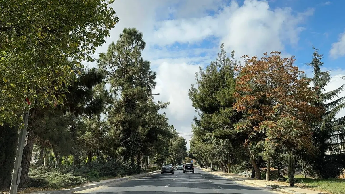 حالة الطقس في الأردن.. ارتفاع مؤقت يعقبه انخفاض وامطار متفرقة