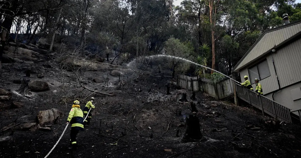 دراسة: علاقة بين حرائق الغابات وارتفاع معدلات الإصابة بالسكتة الدماغية