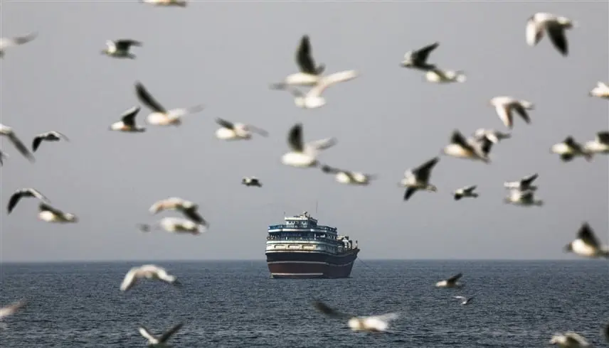 باريس: 60 سفينة فرنسية عالقة بسبب الحرب الإيرانية - موقع 24