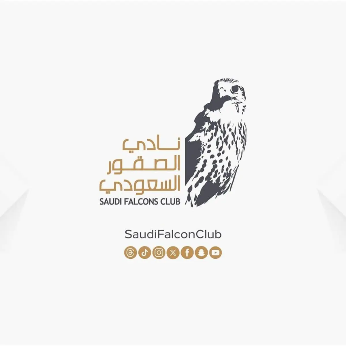 نادي الصقور السعودي يطلق صقوراً مهددة بالانقراض