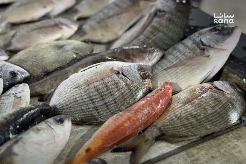 الثروة السمكية تُعلن عن دورة متكاملة لتفريخ أسماك المياه العذبة