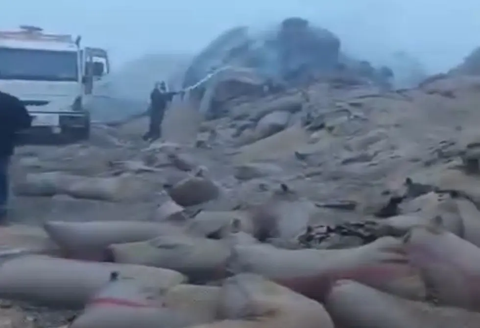 احتراق كميات ضخمة من القمح السوري جراء هجوم بالمسيّرات على قاعدة أمريكية (فيديوهات+صور)