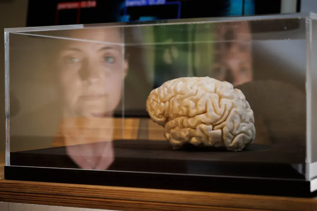 5 عادات يجب تجنبها للحفاظ على صحة الدماغ وتعزيز قوته