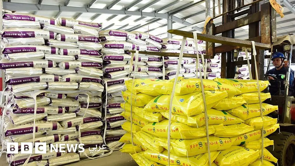 مضيق هرمز: كيف يمكن أن يؤثر إغلاقه على الغذاء والأدوية والهواتف الذكية؟ - BBC News عربي