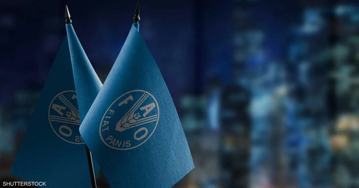 خبير بالفاو يحذّر من تداعيات خطيرة إذا طالت حرب إيران