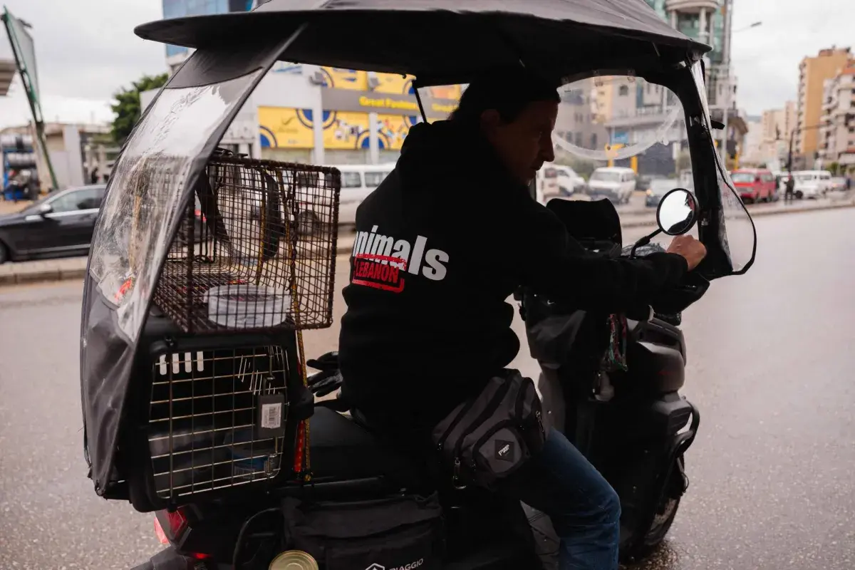 من بين الأنقاض... متطوعون يُخاطرون لإنقاذ حيوانات في ضاحية بيروت الجنوبية