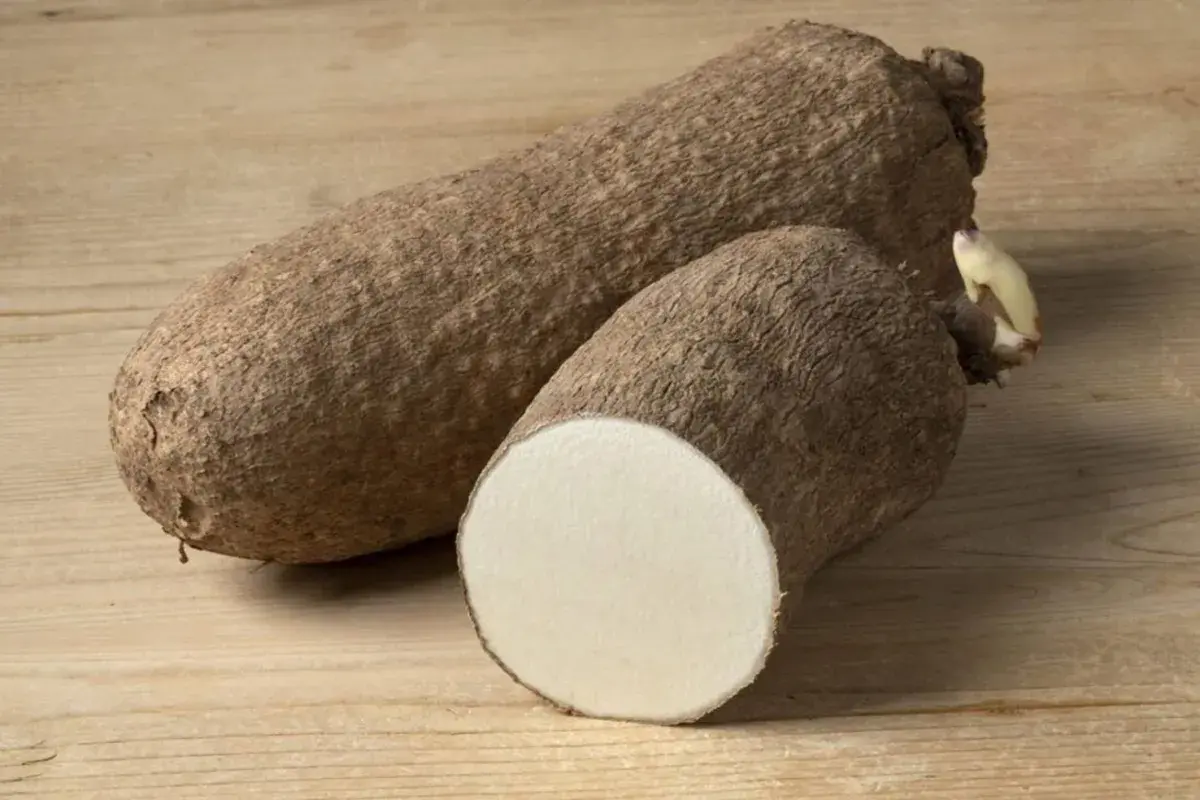 «درنة» يتناولها الملايين منذ قرون تُعدّ الآن «غذاء خارقاً»