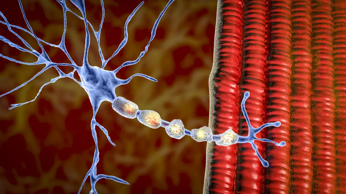 اكتشاف ياباني يعد بعلاج مرض نادر في الأعصاب يصيب الرجال فقط