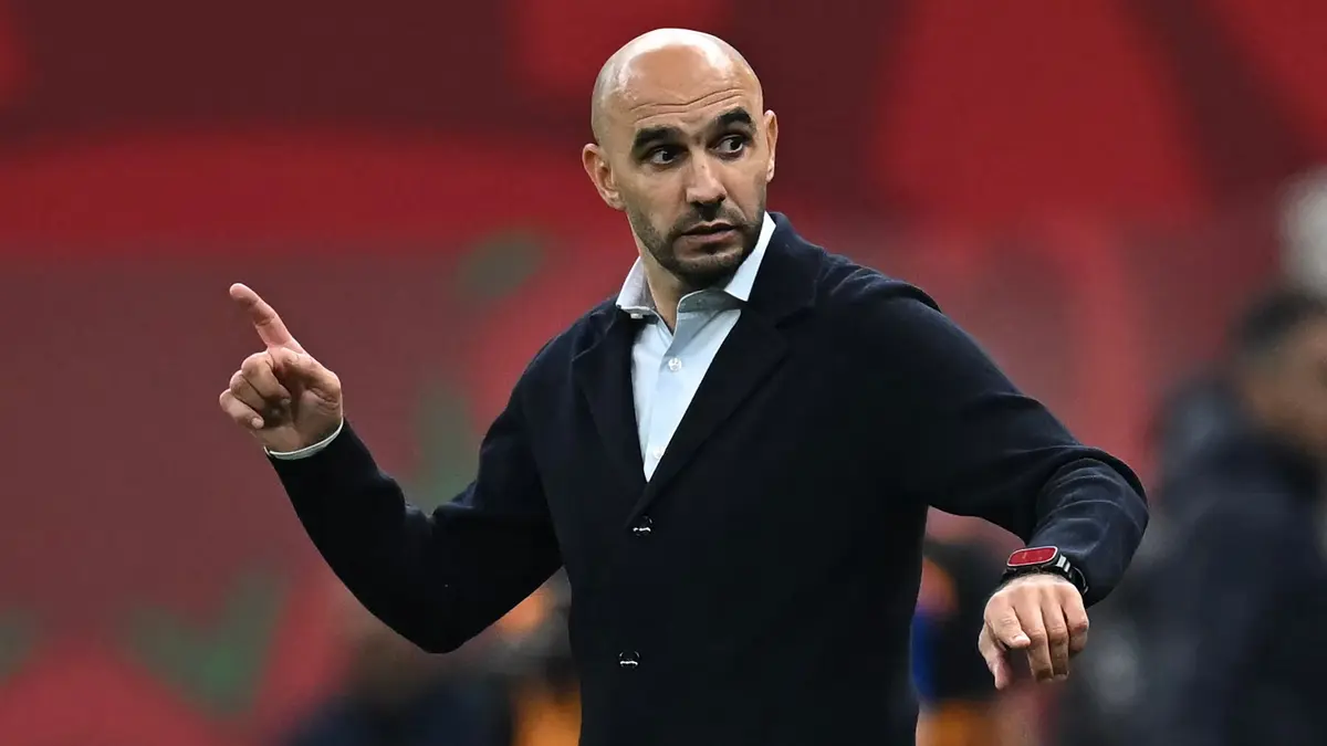 فيديو.. الركراكي يقترب من قيادة السعودية