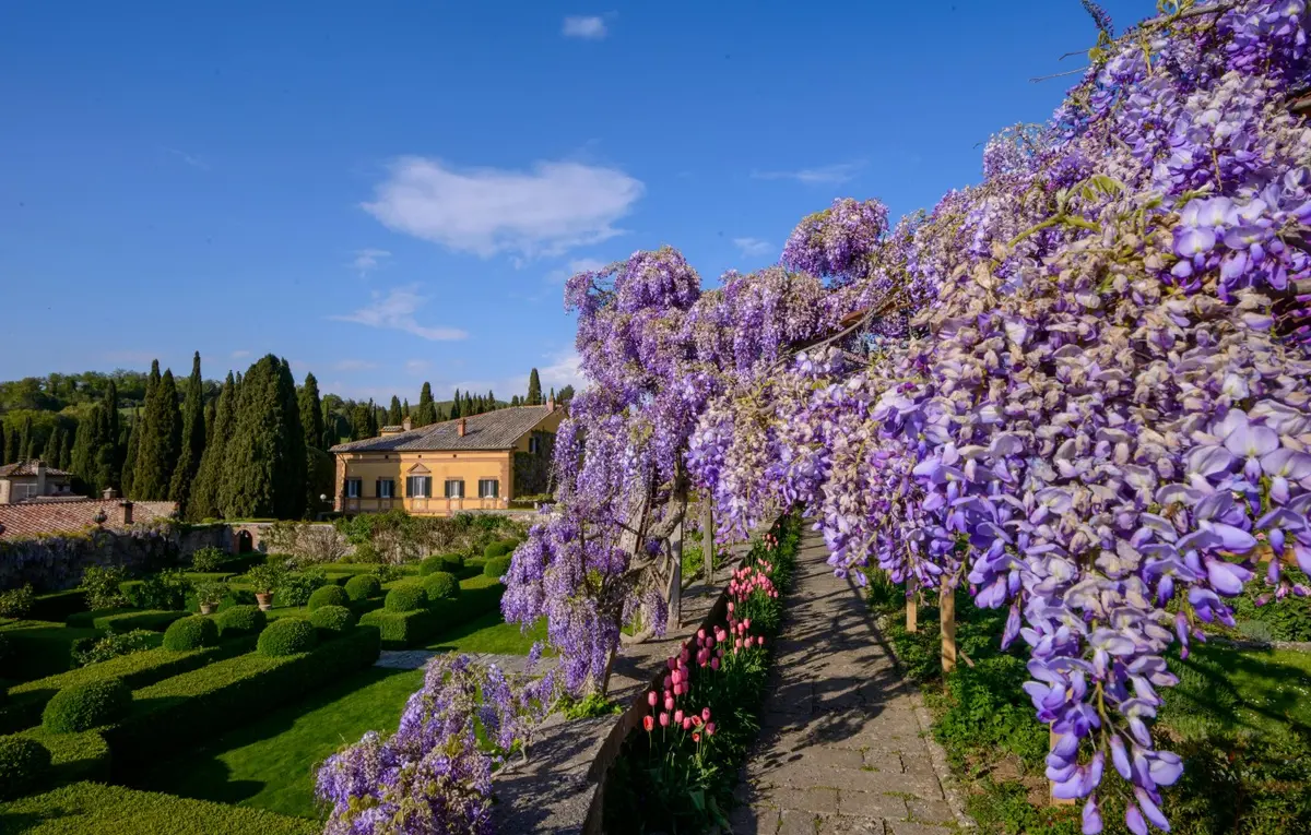 السياحة في الربيع.. 5 وجهات تُرحب بالزائرين ضمن أجواء منعشة