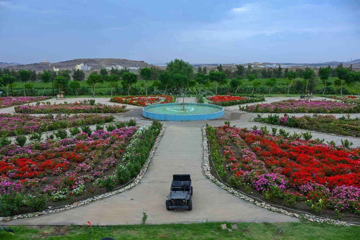 ريف السعودية: قطاع الورد يسجّل نمواً بأكثر من 15% سنوياً