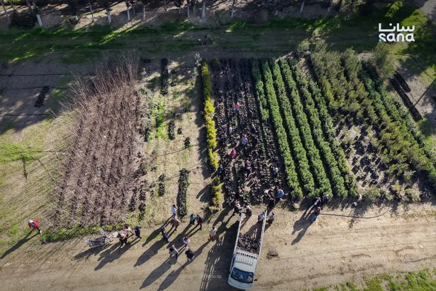 هيئة تطوير الغاب.. جهود لدعم القطاع الزراعي وتعزيز صمود المزارعين