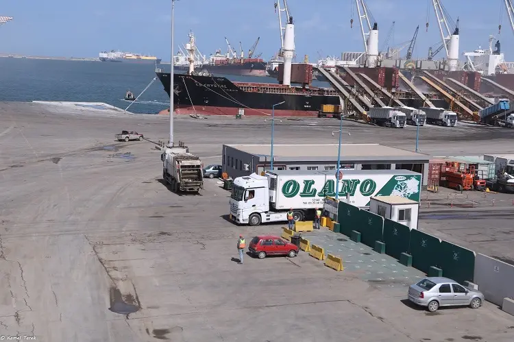 ميناء دمياط يدشن خدمة ترانزيت جديدة عبر خط «الرورو» إلى دول الخليج