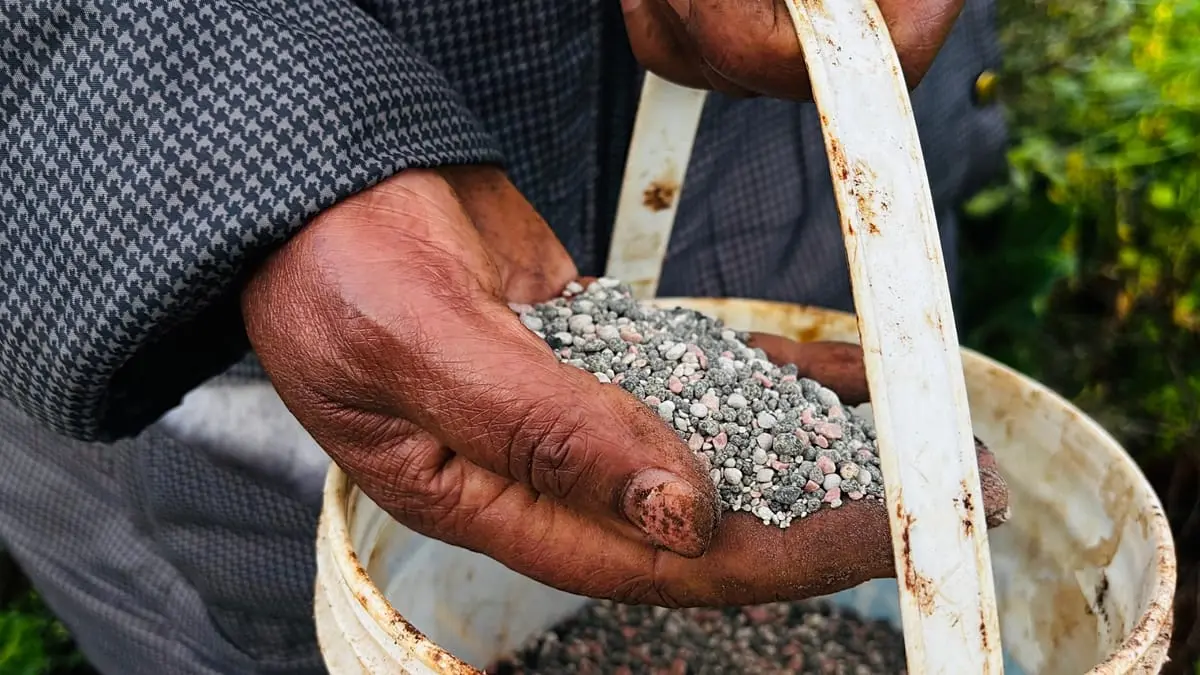 حرب الشرق الأوسط تدفع أسعار الغذاء العالمية إلى الأعلى