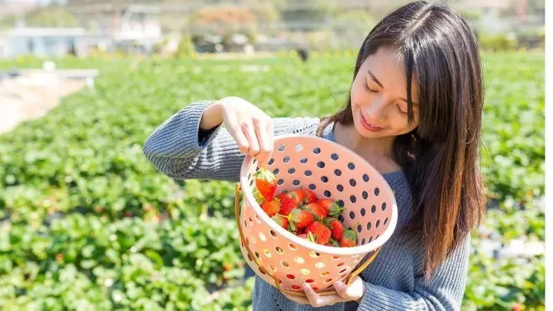 صادرات كوريا من المواد الغذائية ترتفع 4%