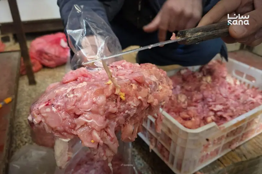 التجارة الداخلية في دمشق تضبط نحو 300 كغ من الفروج المخالف